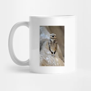 Singing Burrowing owl Mug